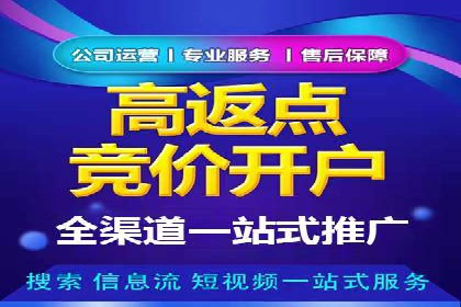 SEM代理助力品牌：案例解析与优化策略